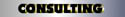 Technical Training, Directing, Advicing, and Consulting.